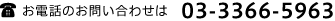 お電話のお問い合わせは03-3366-5963